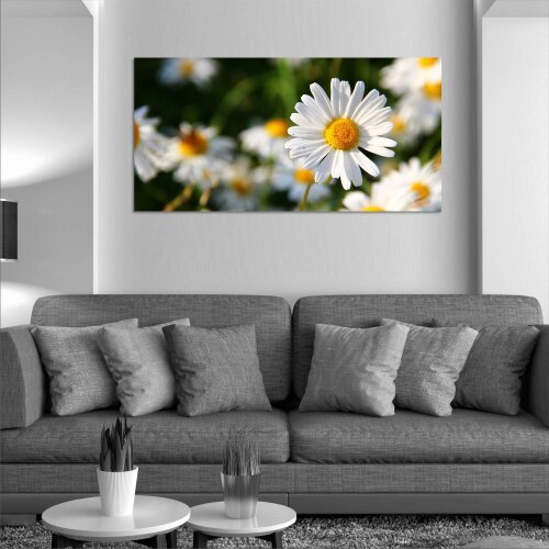 Glas-Bild Wandbilder Druck auf Glas 120x60 Blumen & Pflanzen Große Sterndolde 