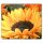 Herdabdeckplatten Ceranfeld 60x52 cm Spritzschutz Glas Sonnenblume Universal