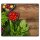 Herdabdeckplatten Ceranfeld 60x52 cm Spritzschutz Glas Schutz Gemüse Universal