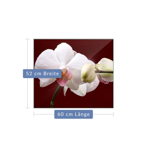 Herdabdeckplatte Ceranfeldabdeckung Spritzschutz Glas Orchidee 60x52 Universal