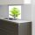 Küchenrückwand 60x60 Glas Spritzschutz Herd Spüle Fliesenschutz Küche Apfel Grün