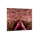 Küchenrückwand 65x60 Glas 65x60 Spritzschutz Herd Spüle Fliesenschutz Landschaft Pink