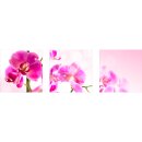 Wandbilder Orchidee Pink 90x30 Glas 3 Teilig Acryl Bild...