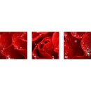 Wandbilder Blumen Rot 90x30 Glas 3 Teilig Acryl Bild...