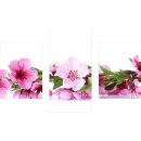 Wandbilder Blumen Pink 90x60 Glas 3 Teilig Acryl Bild Acrylglasbilder Wanddeko