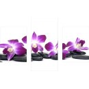 Wandbilder Orchidee Violett 90x60 Glas 3 Teilig Acryl...