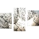 Wandbilder Pusteblume Grau 90x60 Glas 3 Teilig Acryl Bild...