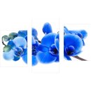 Wandbilder Orchidee Blau 90x60 Glas 3 Teilig Acryl Bild...