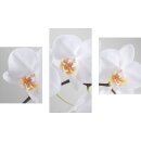 Wandbilder Orchidee Weiß 90x60 Glas 3 Teilig Acryl...
