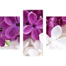 Wandbilder Blumen Violett 90x70 Glas 3 Teilig Acryl Bild...