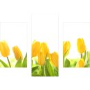 Wandbilder Blumen Gelb 90x70 Glas 3 Teilig Acryl Bild...