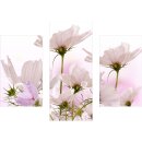 Wandbilder Blumen Pink 90x70 Glas 3 Teilig Acryl Bild...