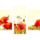 Wandbilder Blumen Rot 90x70 Glas 3 Teilig Acryl Bild Acrylglasbilder Wanddeko