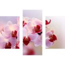 Wandbilder Orchidee Pink 90x70 Glas 3 Teilig Acryl Bild...