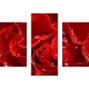 Wandbilder Blumen Rot 90x70 Glas 3 Teilig Acryl Bild...