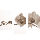 Wandbilder Orchidee Beige 90x70 Glas 3 Teilig Acryl Bild...