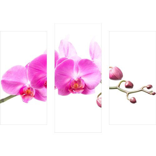 Wandbilder Orchidee Pink 90x70 Glas 3 Teilig Acryl Bild Acrylglasbilder Wanddeko