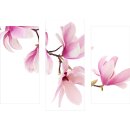Wandbilder Blumen Pink 90x70 Glas 3 Teilig Acryl Bild Acrylglasbilder Wanddeko