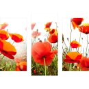 Wandbilder Blumen Rot 90x70 Glas 3 Teilig Acryl Bild...