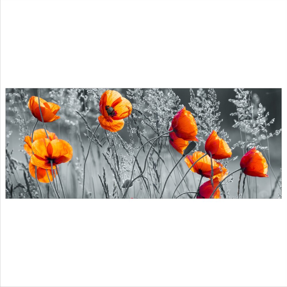 Wandbilder Glasbilder Druck auf Glas 125x50 Mohnblumen Pflanzen 