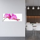 Glasbild 125x50 XL Orchidee Pink Panorama Wandbild Glasbilder Modern Deko Glas