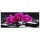 Glasbild 125x50 XL Orchidee Pink Panorama Wandbild Glasbilder Modern Deko Glas