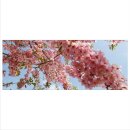 Glasbild 125x50 XL Blumen Pink Panorama Wandbild...