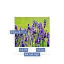 Herdabdeckplatte Ceran 2-teilig 2x30x52 Lavendel Violett...