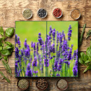 Herdabdeckplatte Ceran 2-teilig 2x30x52 Lavendel Violett Abdeckung Glas Deko