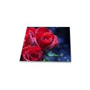 Herdabdeckplatte Ceran 1 teilig 60x52 Blumen Rot Abdeckung Glas Spritzschutz