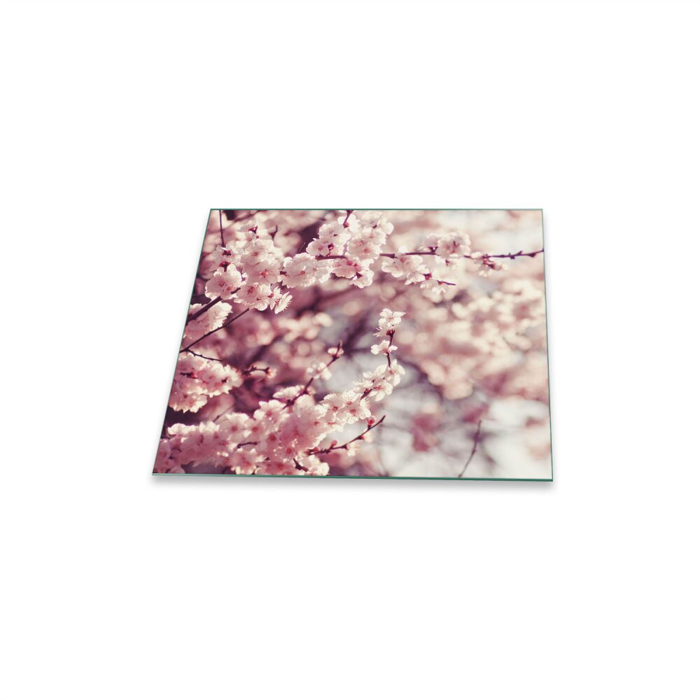 60x52 cm Herdabdeckplatten aus Glas Spritzschutz Rosa Blüte 