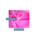 Herdabdeckplatte Ceran 1 teilig 60x52 Blumen Pink...