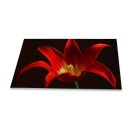 Herdabdeckplatte Ceran 90x52 Blumen Rot Abdeckung Glas Spritzschutz Küche Deko