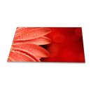 Herdabdeckplatte Ceran 90x52 Blumen Rot Abdeckung Glas...