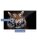 Herdabdeckplatte Ceran 90x52 Tiere Dunkel Abdeckung Glas Spritzschutz Küche Deko