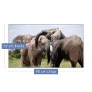 Herdabdeckplatte Ceran 1 Teilig 90x52 Elefant Beige Abdeckung Glas Spritzschutz