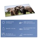 Herdabdeckplatte Ceran 1 Teilig 90x52 Elefant Beige Abdeckung Glas Spritzschutz