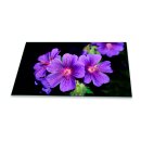 Herdabdeckplatte Ceran 90x52 Blumen Violett Abdeckung Glas Spritzschutz Küche