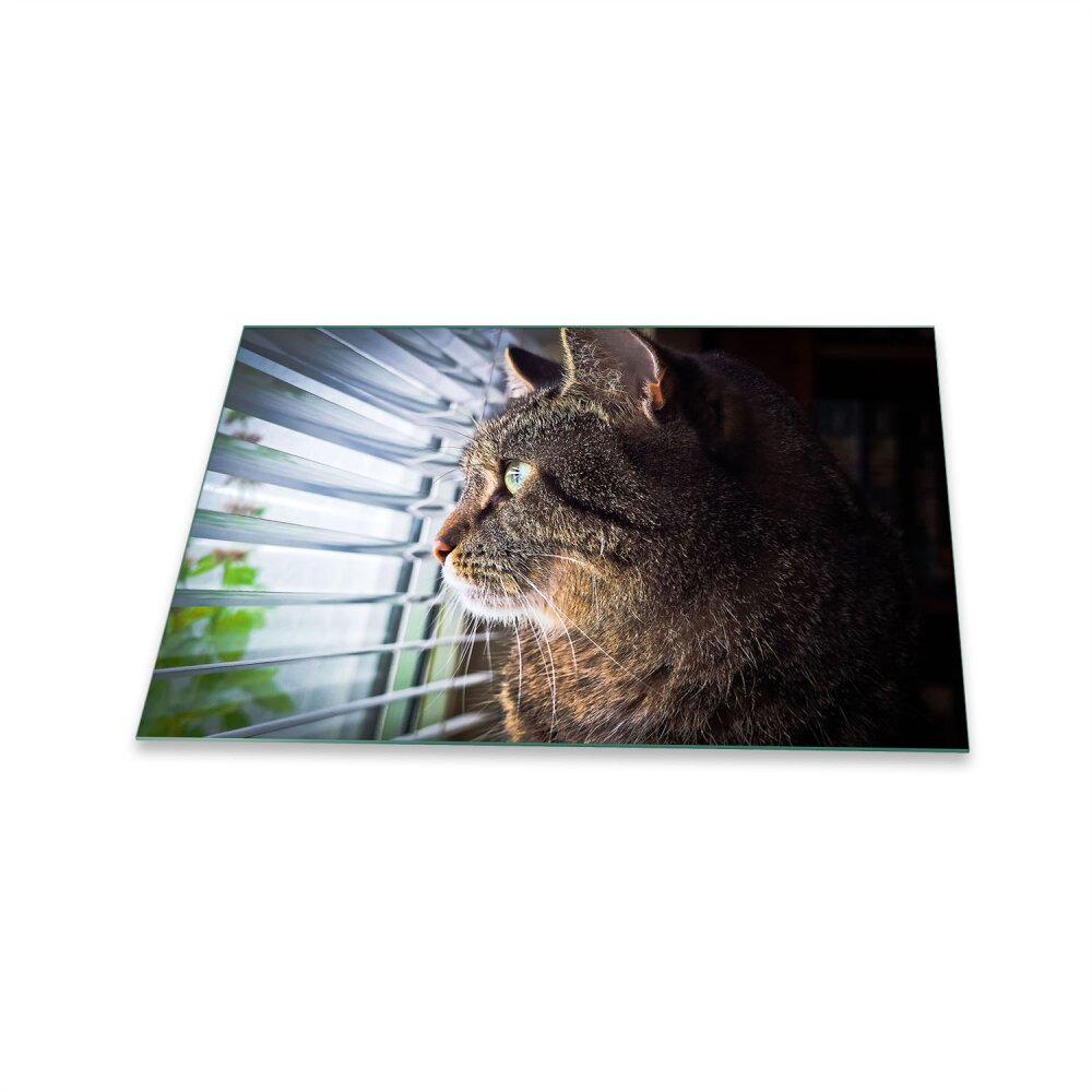 Glas-Herdabdeckplatte Ceranfeldabdeckung Zweiteilig 2x30x52 Katzen-Illustration 