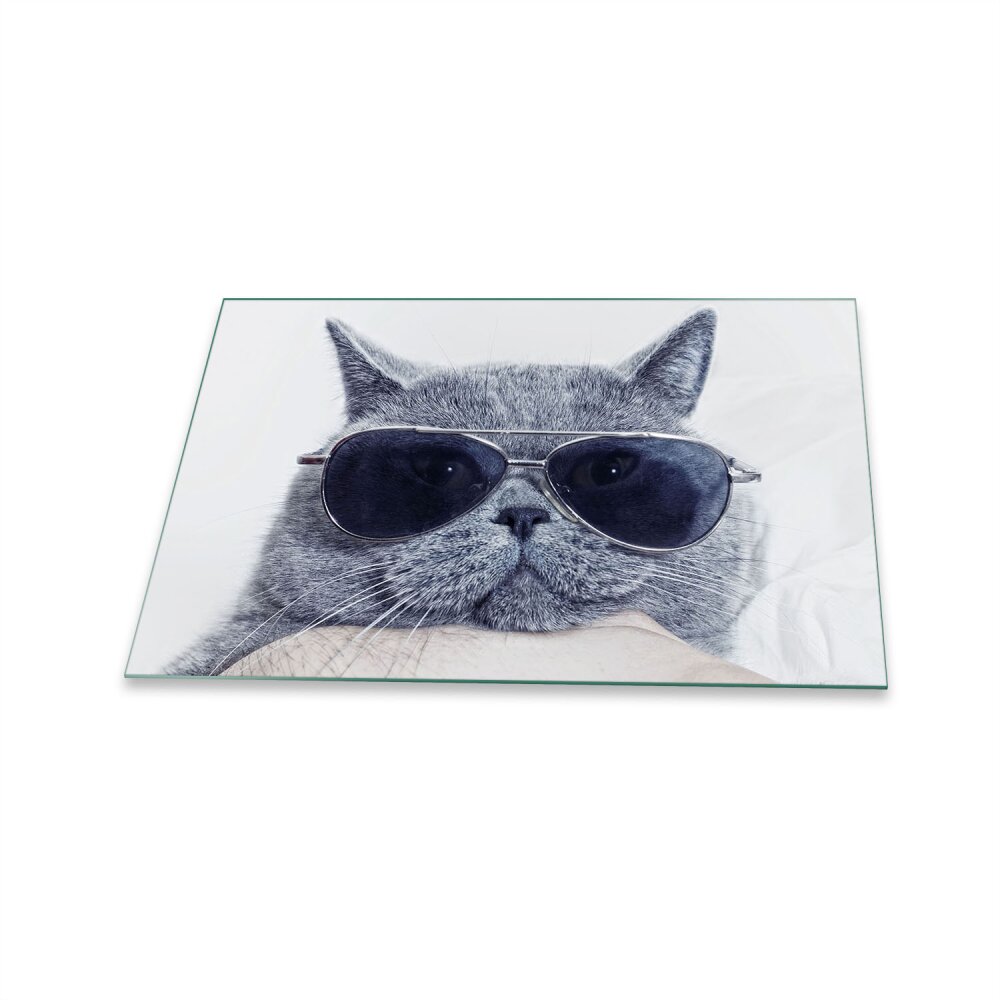 Glas-Herdabdeckplatte Ceranfeldabdeckung Spritzschutz 80x52 Graue Katze 