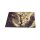 Herdabdeckplatte Ceran 1 Teilig 80x52 Katze Grau Abdeckung Glas Spritzschutz