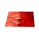 Herdabdeckplatte Ceran 1 Teilig 80x52 Blumen Rot Abdeckung Glas Spritzschutz