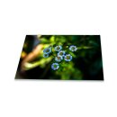Herdabdeckplatte Ceran 1 Teilig 80x52 Blumen Blau...