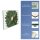 Herdabdeckplatte Ceran 1 Teilig 80x52 Gemüse Grün Abdeckung Glas Spritzschutz