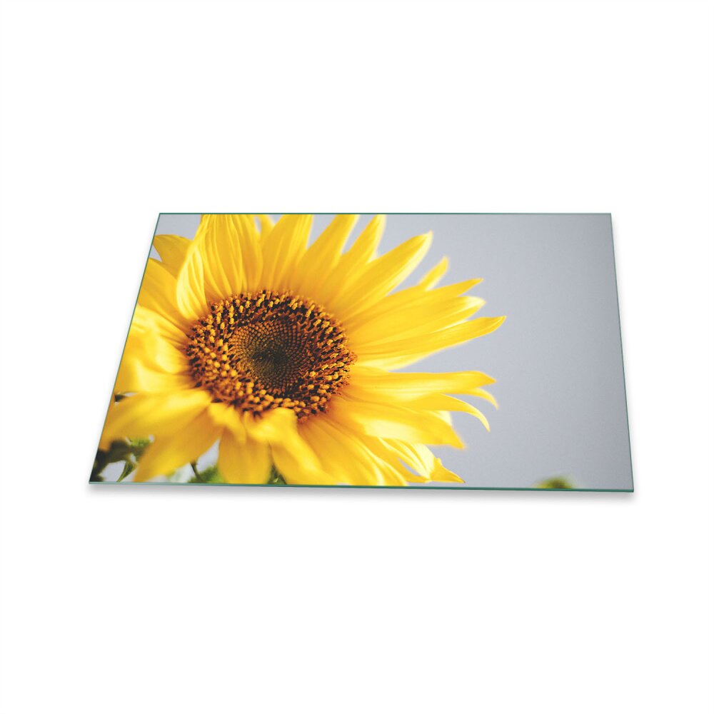 Glas-Herdabdeckplatte Ceranfeldabdeckung Spritzschutz 80x52 Sonnenblumen