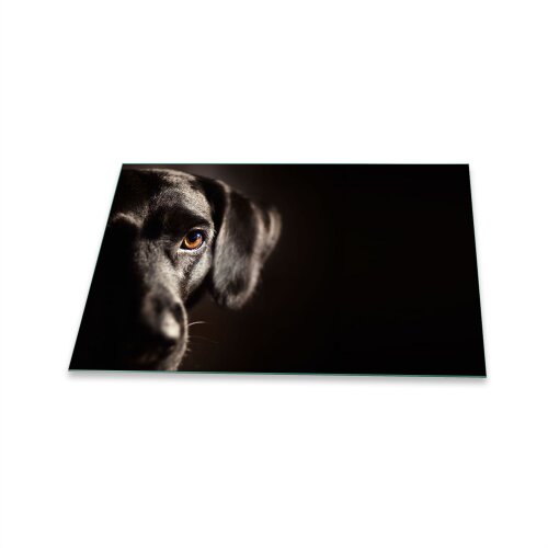 Herdabdeckplatte Ceran 1 Teilig 80x52 Hund Schwarz Abdeckung Glas Spritzschutz