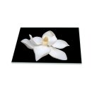 Herdabdeckplatte Ceran 1 Teilig 80x52 Orchidee Weiß...