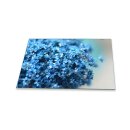 Herdabdeckplatte Ceran 1 Teilig 80x52 Pflanzen Blau Abdeckung Glas Spritzschutz