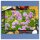 Herdabdeckplatte Ceran 1 Teilig 80x52 Blumen Violett Abdeckung Glas Spritzschutz
