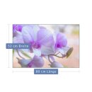 Herdabdeckplatte Ceran 1 Teilig 80x52 Blumen Violett Abdeckung Glas Spritzschutz